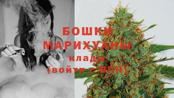 крисы Елизово