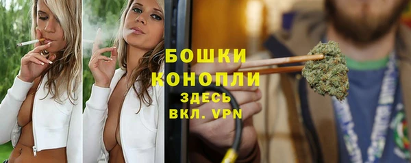 крисы Елизово