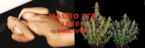 крисы Елизово