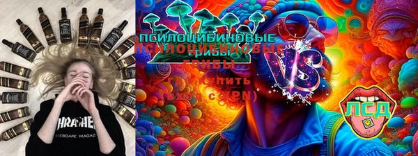 крисы Елизово