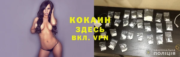крисы Елизово