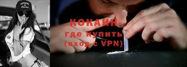 метадон Ельня