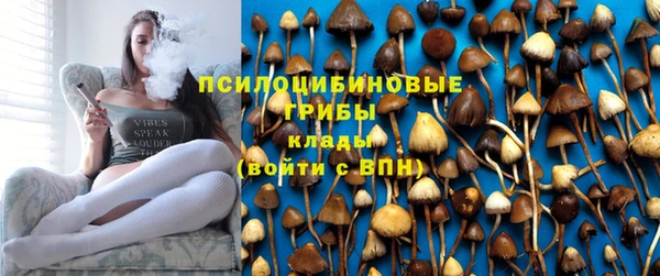 прущие крисы Елабуга