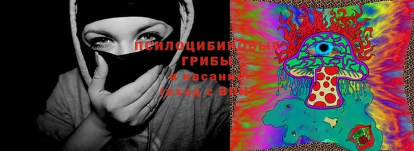 метадон Ельня