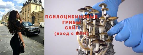 метадон Ельня