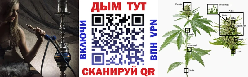 Купить  Звенигород  Бошки Шишки индика 